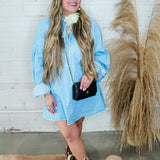 Denim Dan Shirt Dress