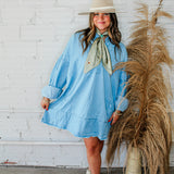 Denim Dan Shirt Dress