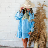 Denim Dan Shirt Dress