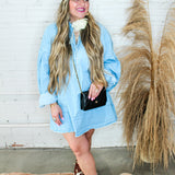 Denim Dan Shirt Dress