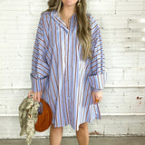 Polo Striped Button Down Mini Dress - Blue