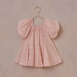 Noralee Maia Dress - Blush